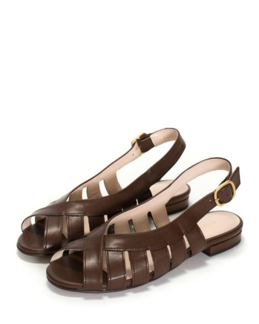 Citynomadattire.shop62e8a4f917 2